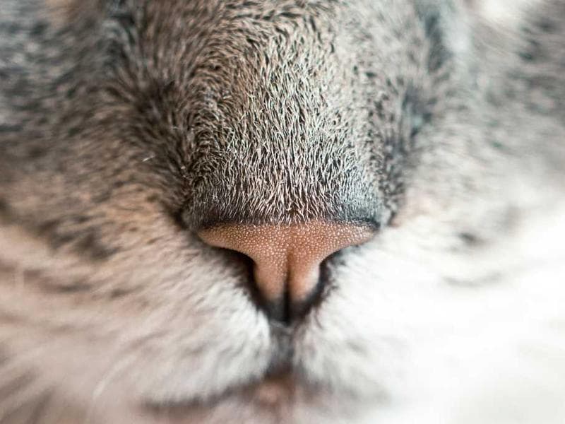 渝北区某小区卫生间漏水检测维修